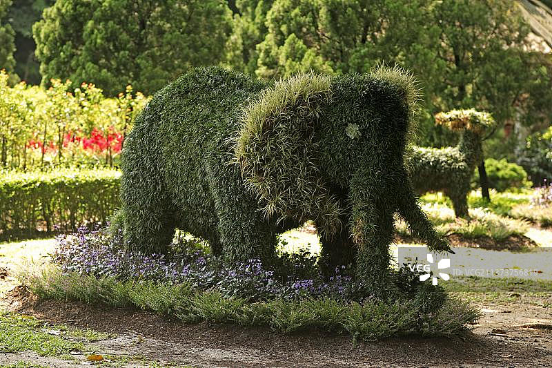 修剪成大象形状的绿篱，新加坡，亚洲图片素材