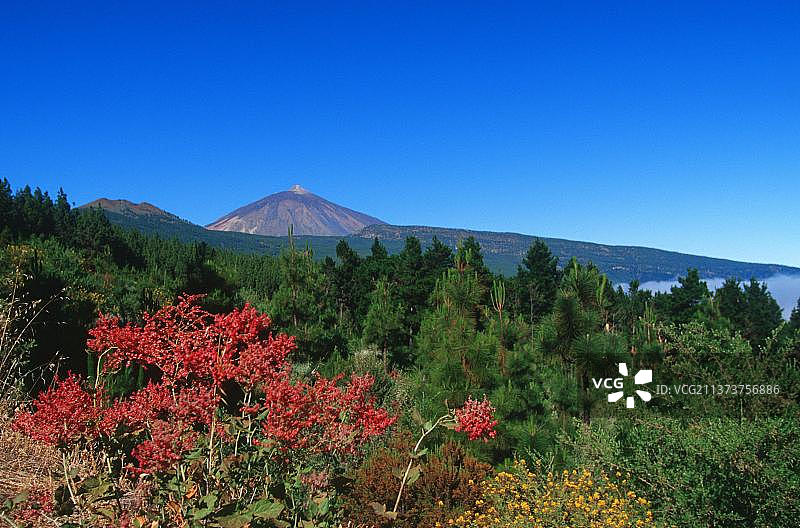 泰德国家公园的泰德峰图片素材