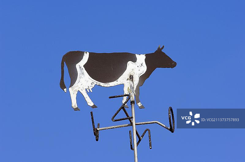 荷兰风向标，风向指示器，奶牛风向标，奶牛图片素材