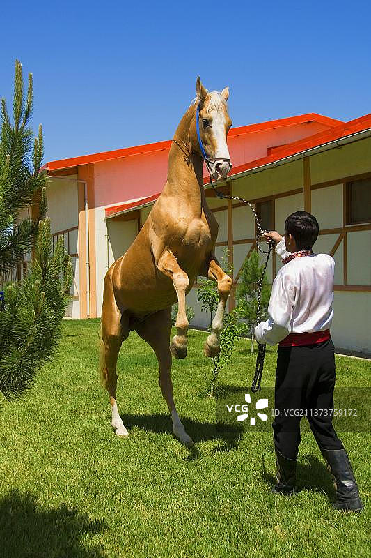 阿哈尔捷金马与男子，马场，阿什哈巴德，土库曼斯坦，亚洲图片素材