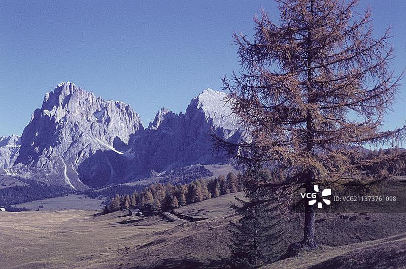 意大利南蒂罗尔塞拉山，锡西阿尔卑斯山，萨索隆戈群峰风光图片素材