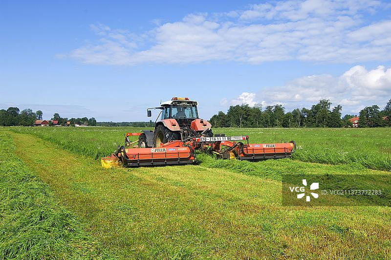 在瑞典用斯太尔拖拉机和费拉割草机收割青贮饲料图片素材