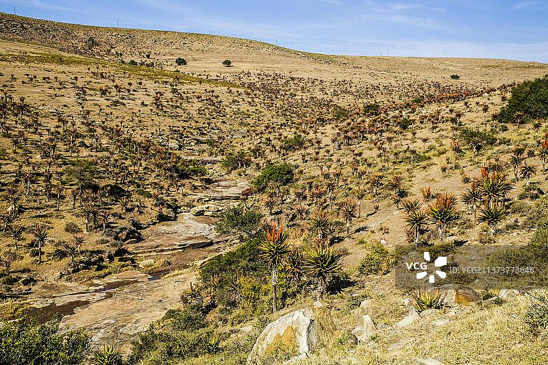 南非特兰斯凯的丘陵景观图片素材
