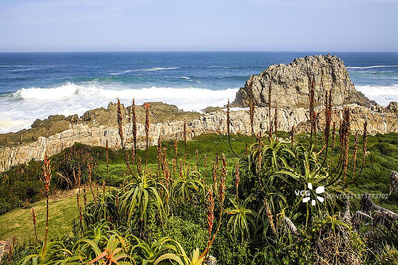 希特斯卡马国家公园的海岸岩石，南非图片素材