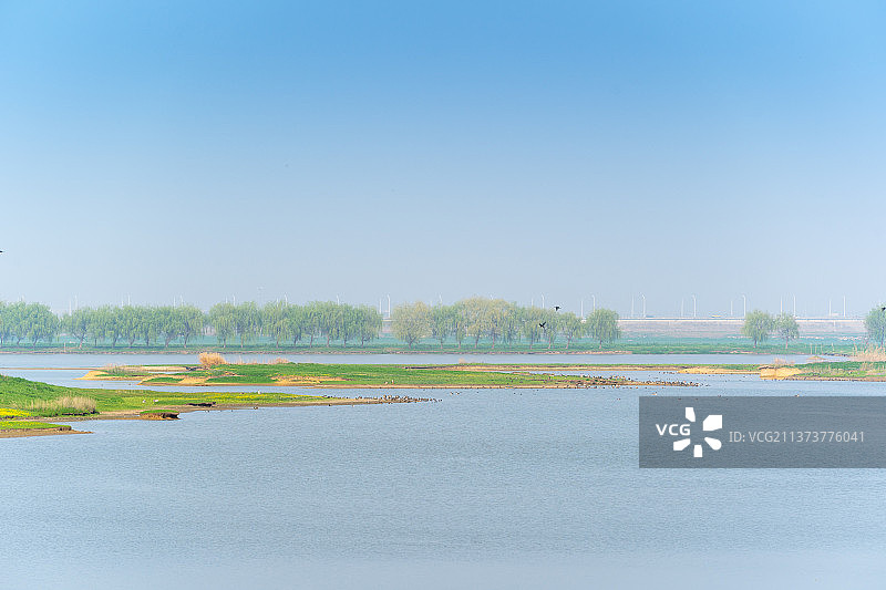 春天的阳光下美丽的府河湿地图片素材