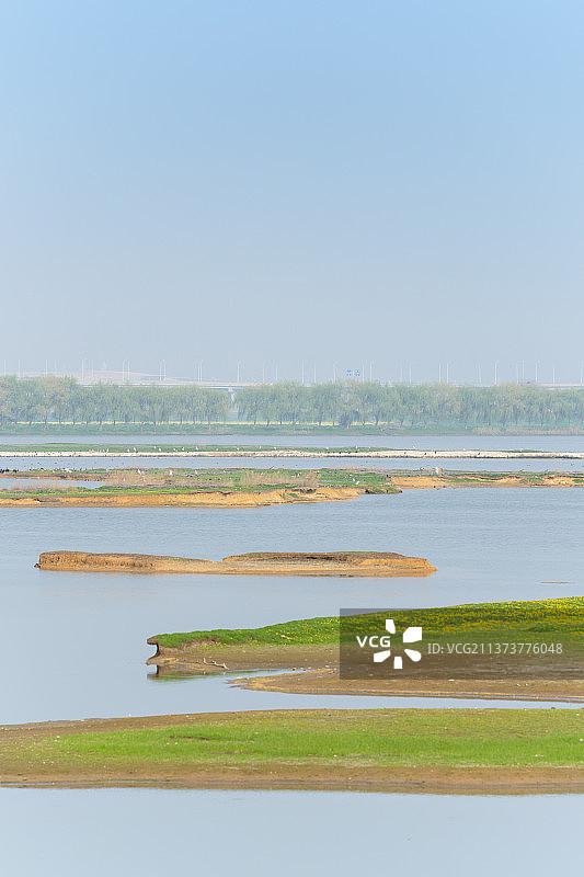 春天的阳光下美丽的府河湿地图片素材