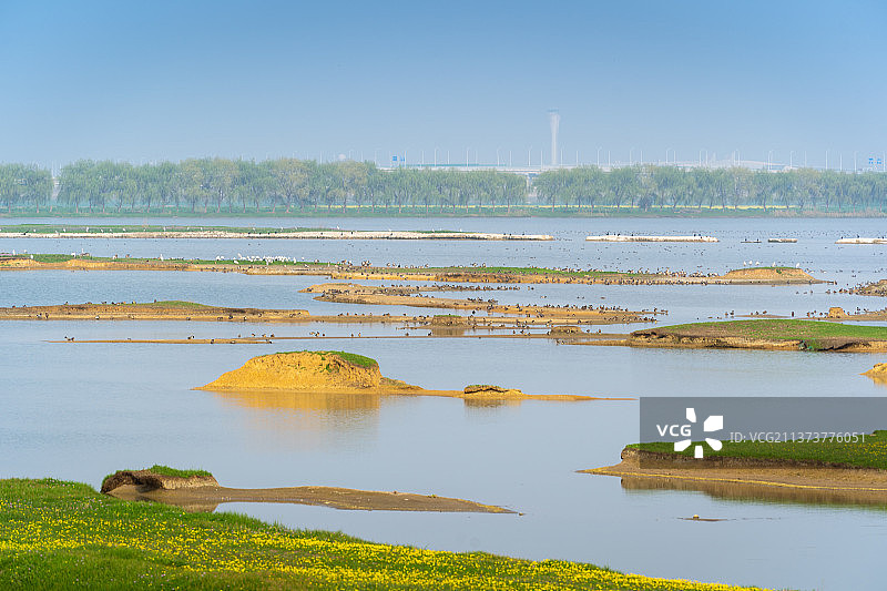 春天的阳光下美丽的府河湿地图片素材