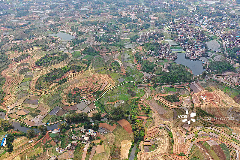 广西邕宁：七彩田园如画美图片素材