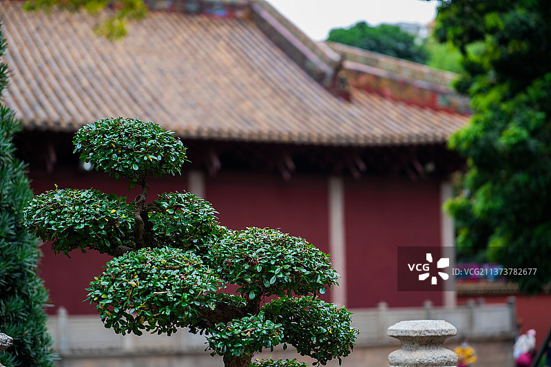 广州农讲所图片素材