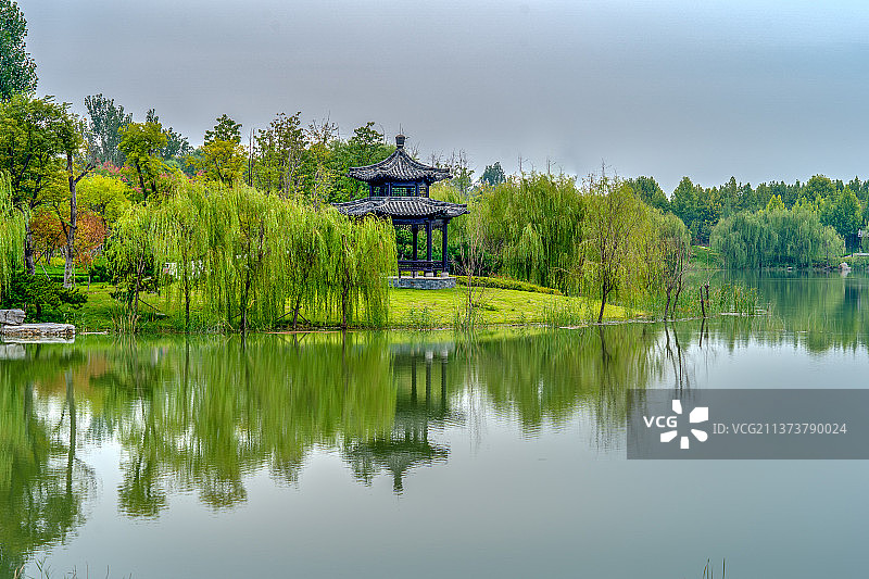 柳岸风轻+山东省济宁市任城区太白湖旅游景区图片素材