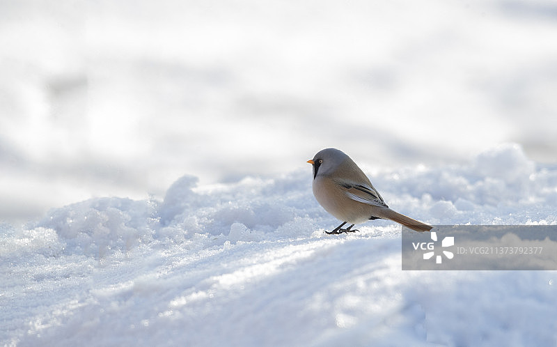 守望～图片素材