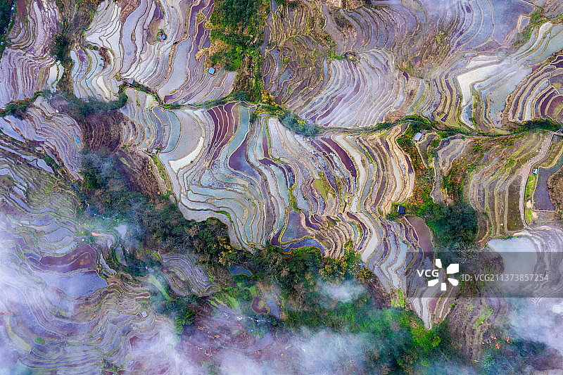 云上哈尼梯田图片素材