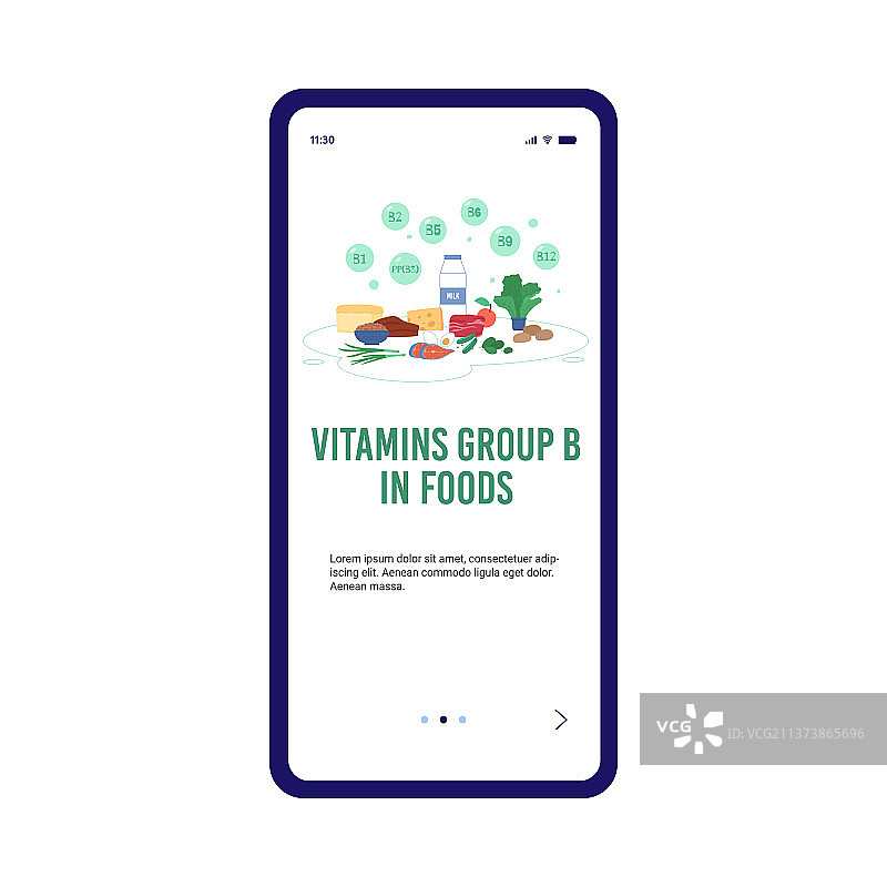 富含B族维生素的食品介绍图片素材