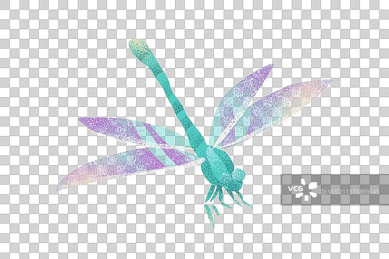 夏天元素蜻蜓肌理插画图片素材