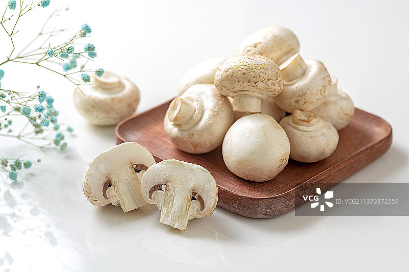 白蘑菇特写白色背景图片素材