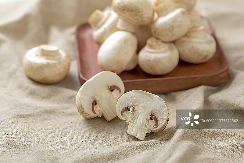 白蘑菇特写白色背景图片素材