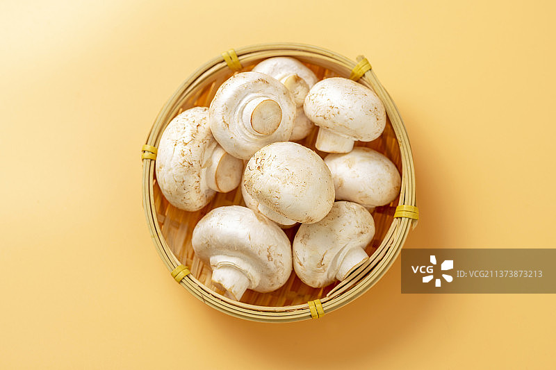 白蘑菇特写黄色莫兰迪色系背景图片素材