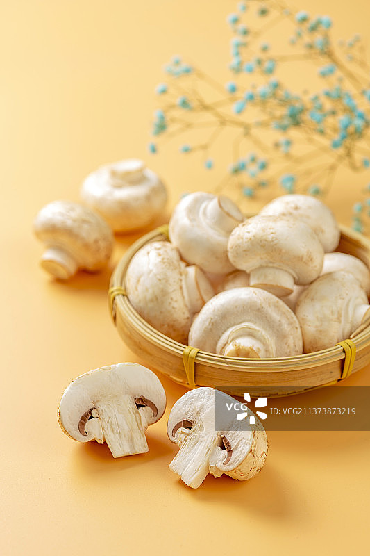 白蘑菇特写黄色莫兰迪色系背景图片素材