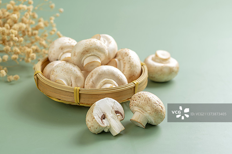 白蘑菇特写绿色莫兰迪色系背景图片素材