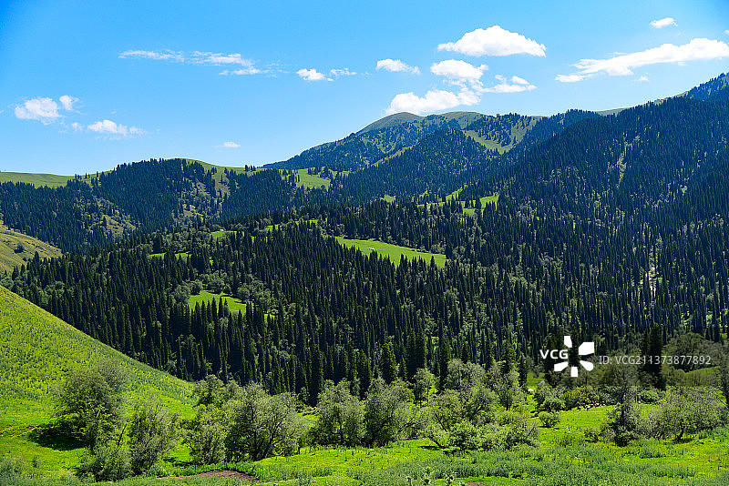 新疆那拉提草原风光图片素材