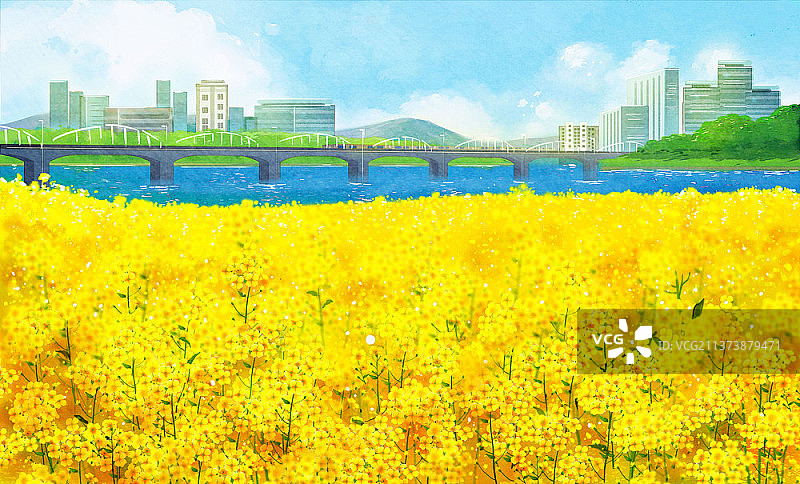 黄色油菜花田汉江风景插画图片素材