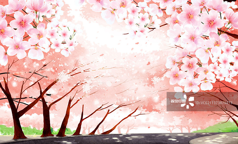道路樱花树插画图片素材