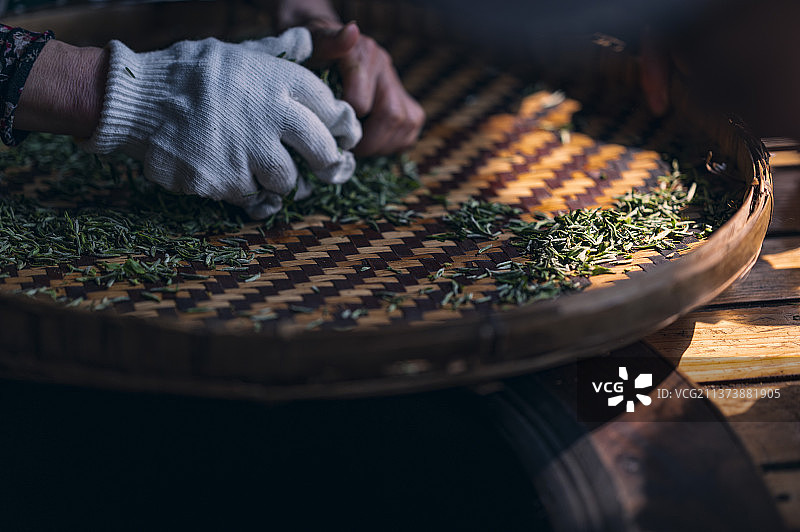 制茶图片素材