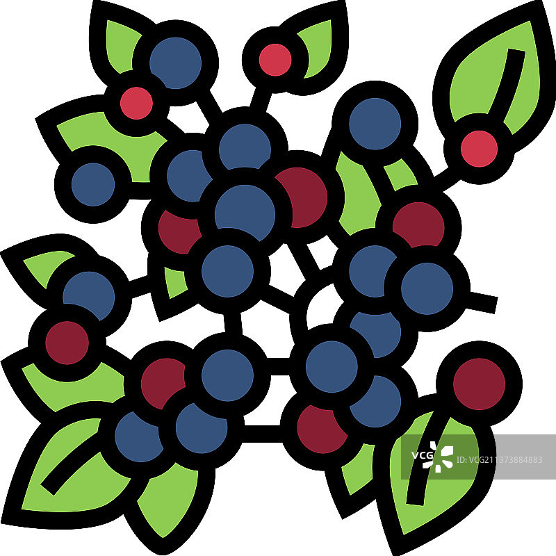 越橘植物分支彩色图标图片素材