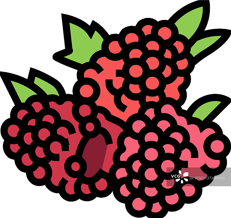 覆盆子浆果颜色图标图片素材