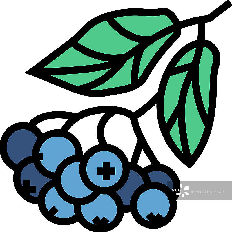 野樱莓分支彩色图标图片素材