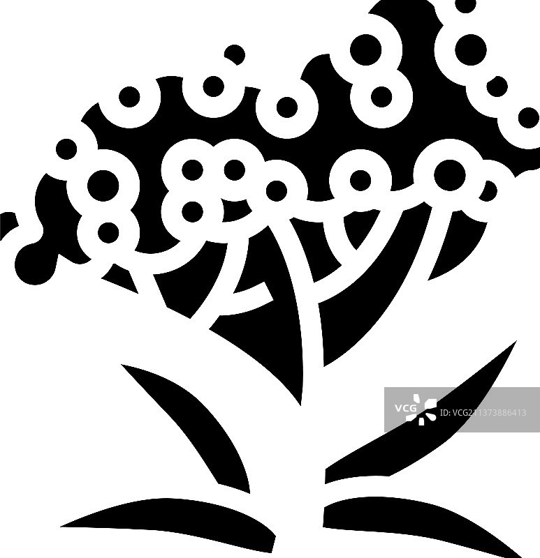 接骨木树枝标志图标图片素材