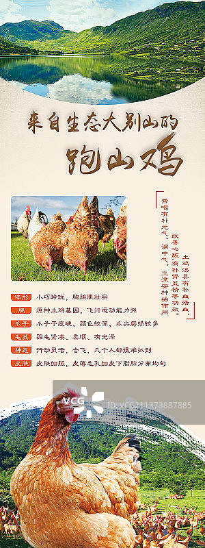 易拉宝图片素材