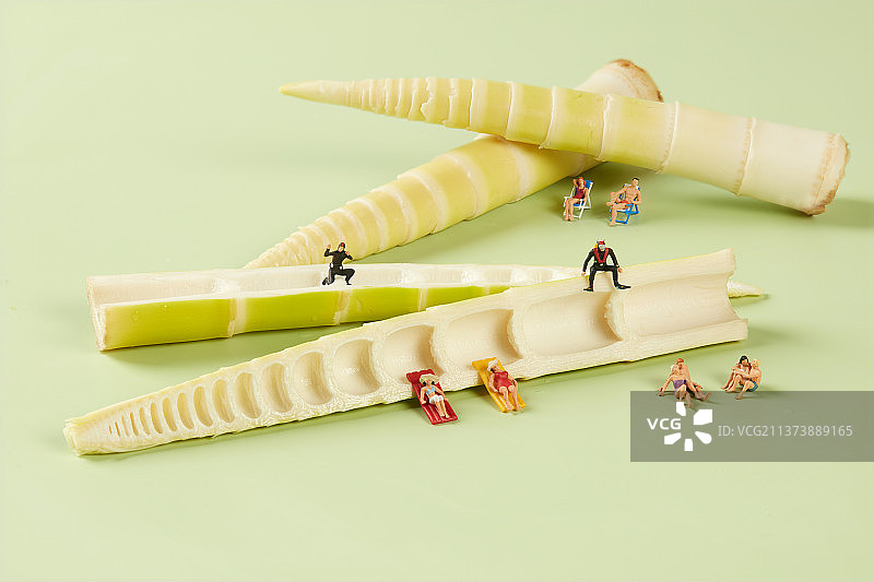 春笋微缩景观图片素材