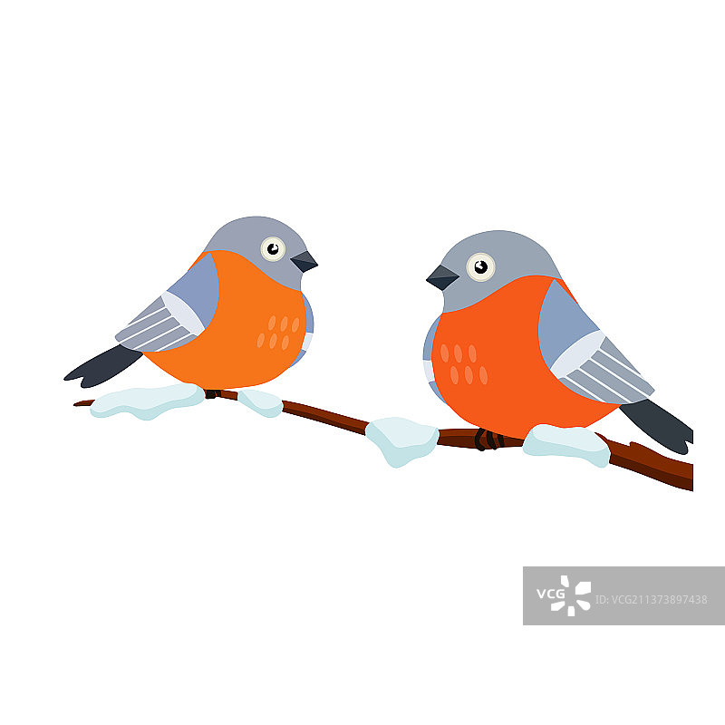 两只可爱的红腹灰雀图片素材