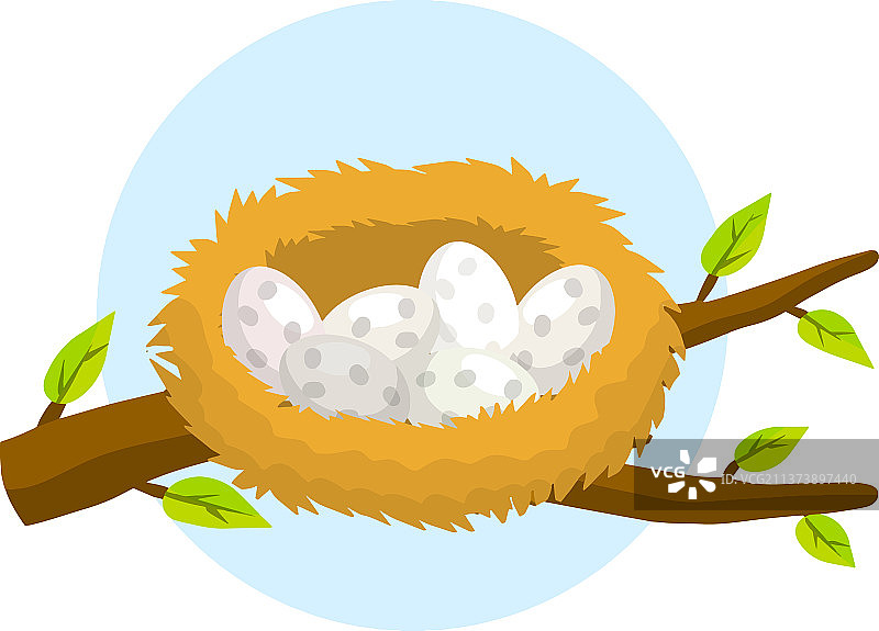 鸟巢和鸟蛋屋图片素材