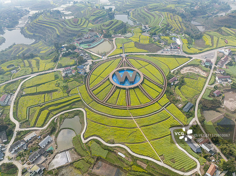 大地彩绘——四川省南溪县高新村五粮液专用粮基地图片素材