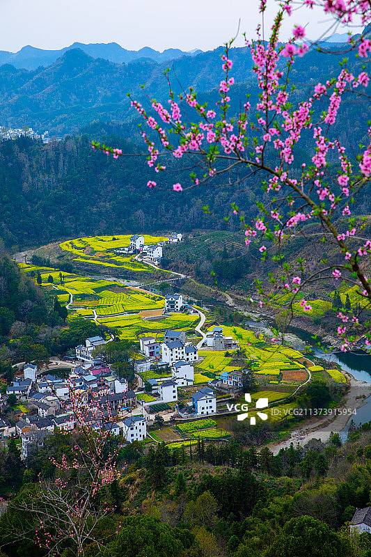 安徽省歙县石潭景区油菜花风光图片素材