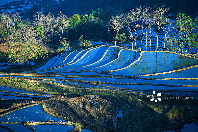 線條美图片素材