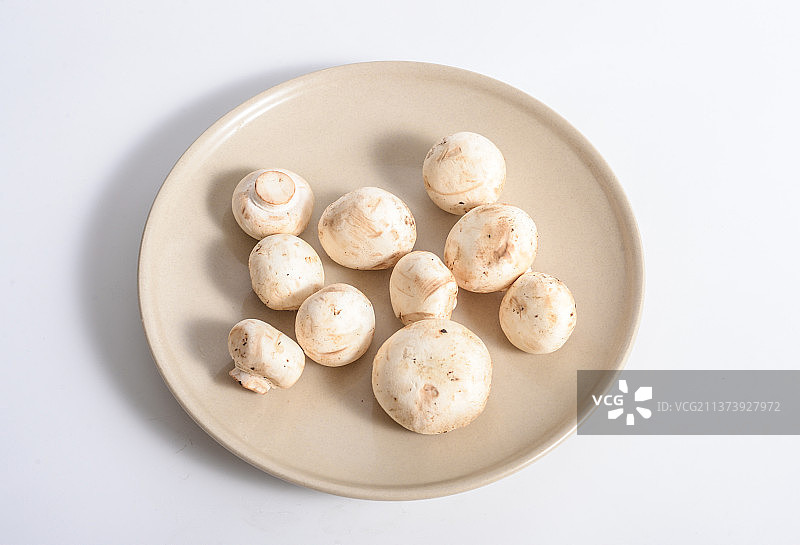 白蘑菇 双孢菇图片素材