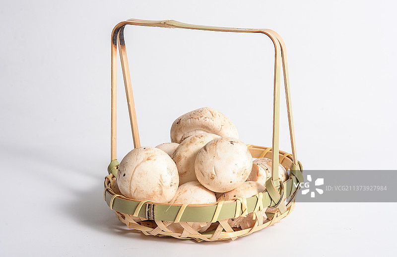 白蘑菇 双孢菇图片素材