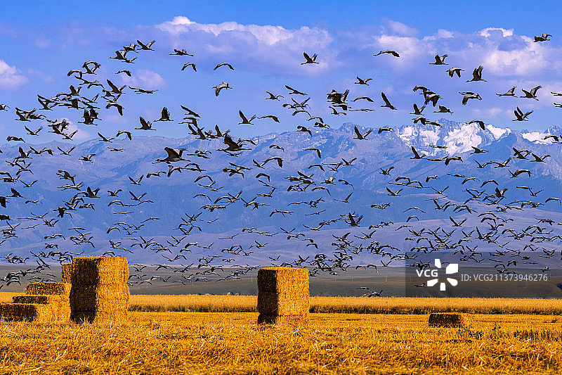 _DSC1260图片素材