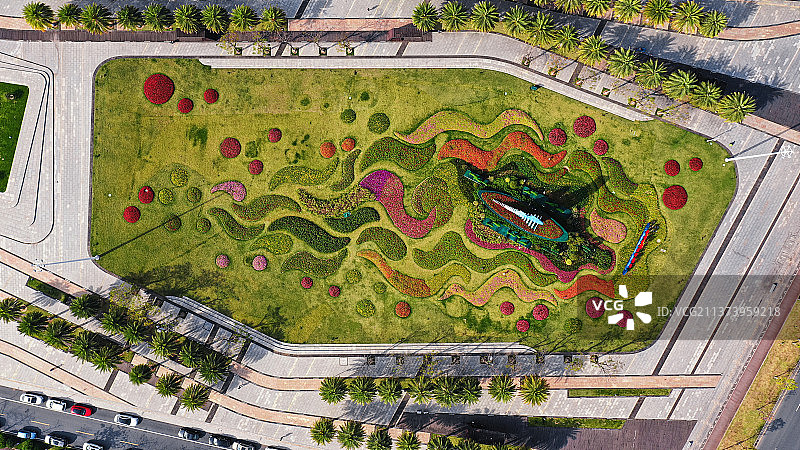 南沙区市民广场园林绿化图片素材