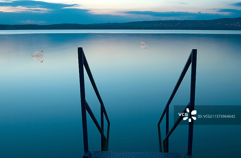 湖上的天鹅，日落时湖光天色美景图片素材