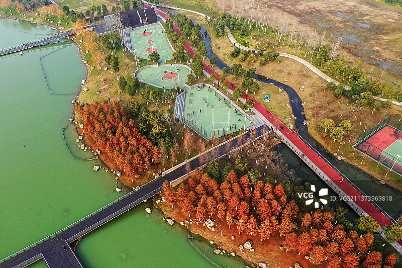 滆湖公园秋色+江苏省常州市武进区滆湖公园图片素材