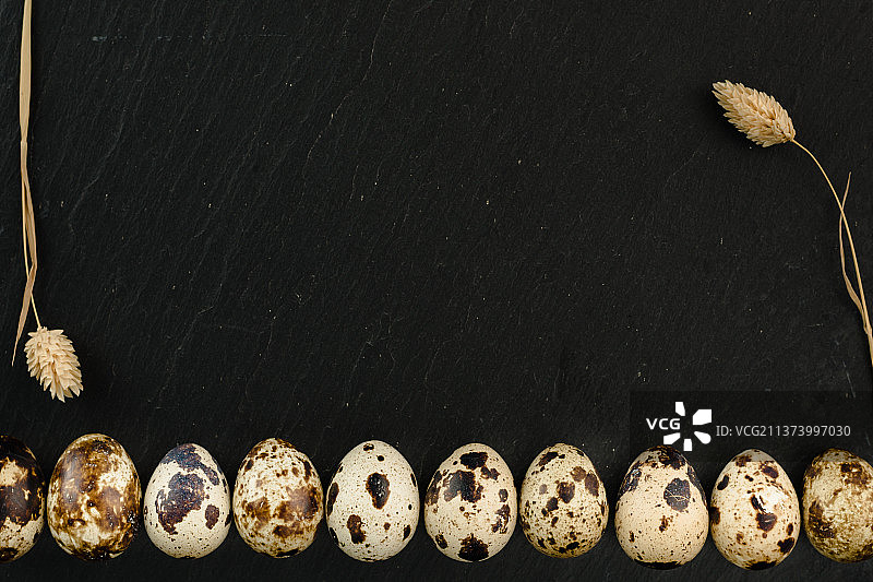 黑色石板背景上的有机鹌鹑蛋图片素材