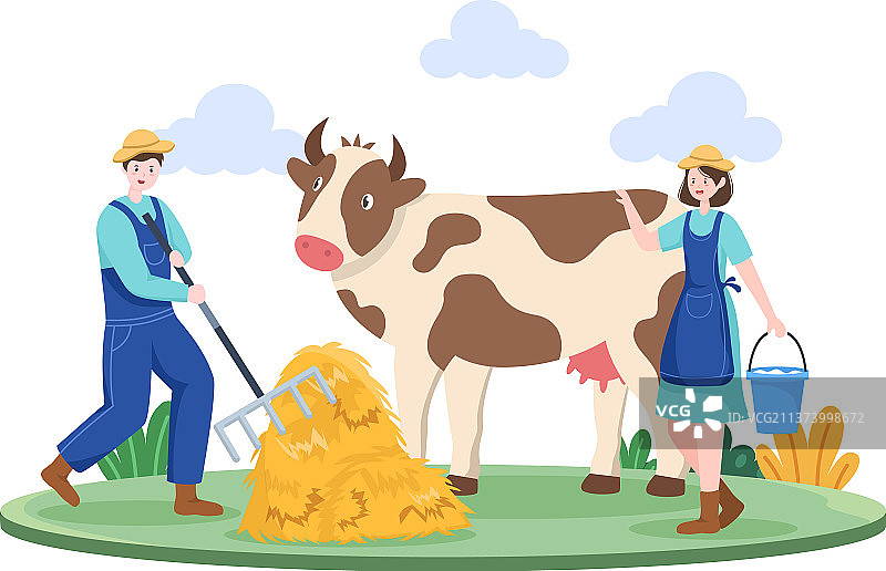 农民挤牛奶生产或获取乳制品图片素材