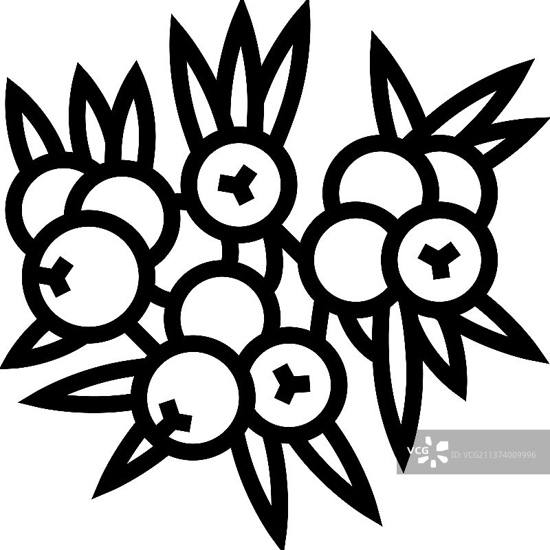 杜松子线条图标图片素材