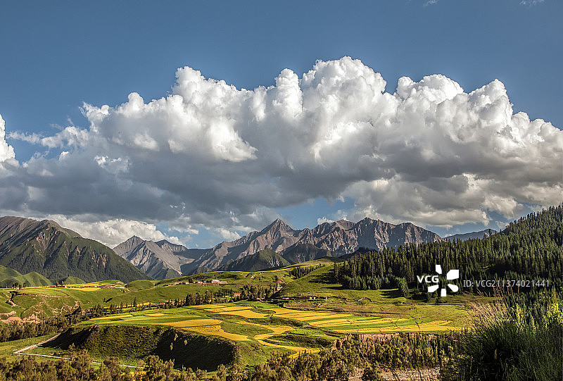 自然美景田园风光金黄稻田图片素材