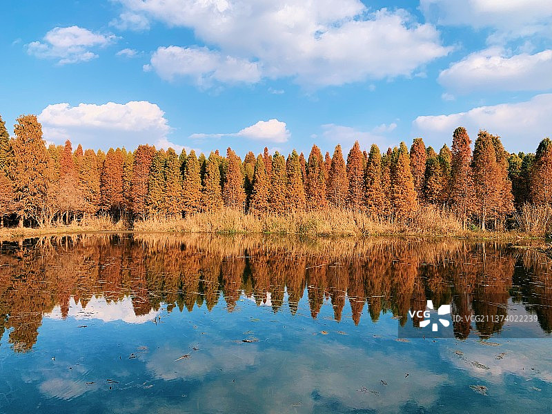 捞鱼河湿地公园图片素材