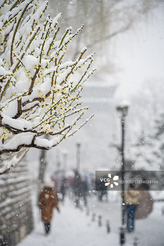 北京明城墙遗址公园的雪中东便门图片素材